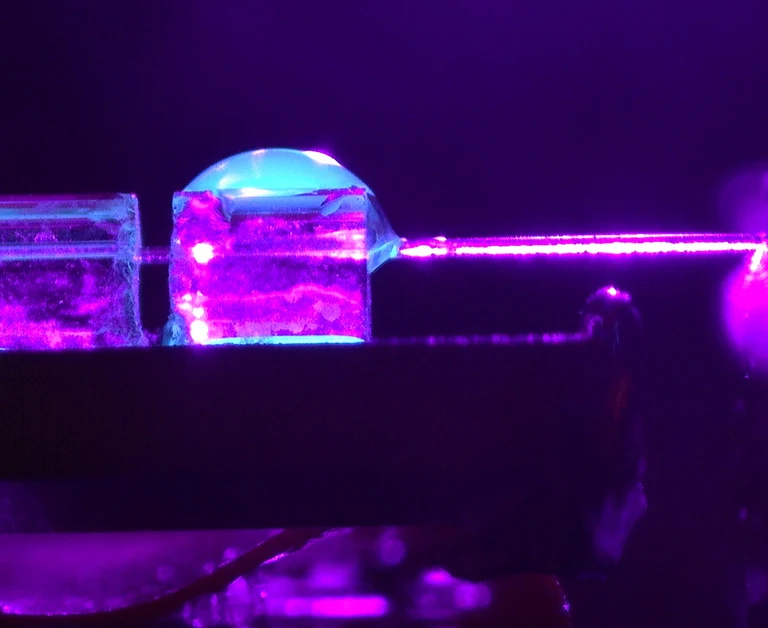 ferruleUVglow_with_slight_crop.png