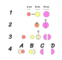 solution_09_JPJ.png