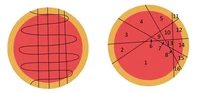 solution_11_fermi2.png