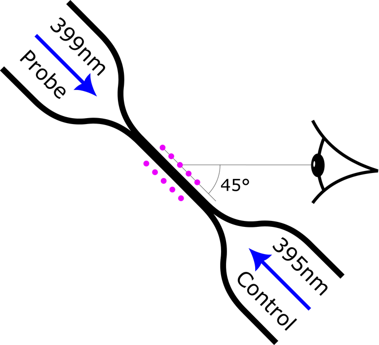 SS2025 - FYQO - Nanofiber_Imaging_under_45_degrees.png