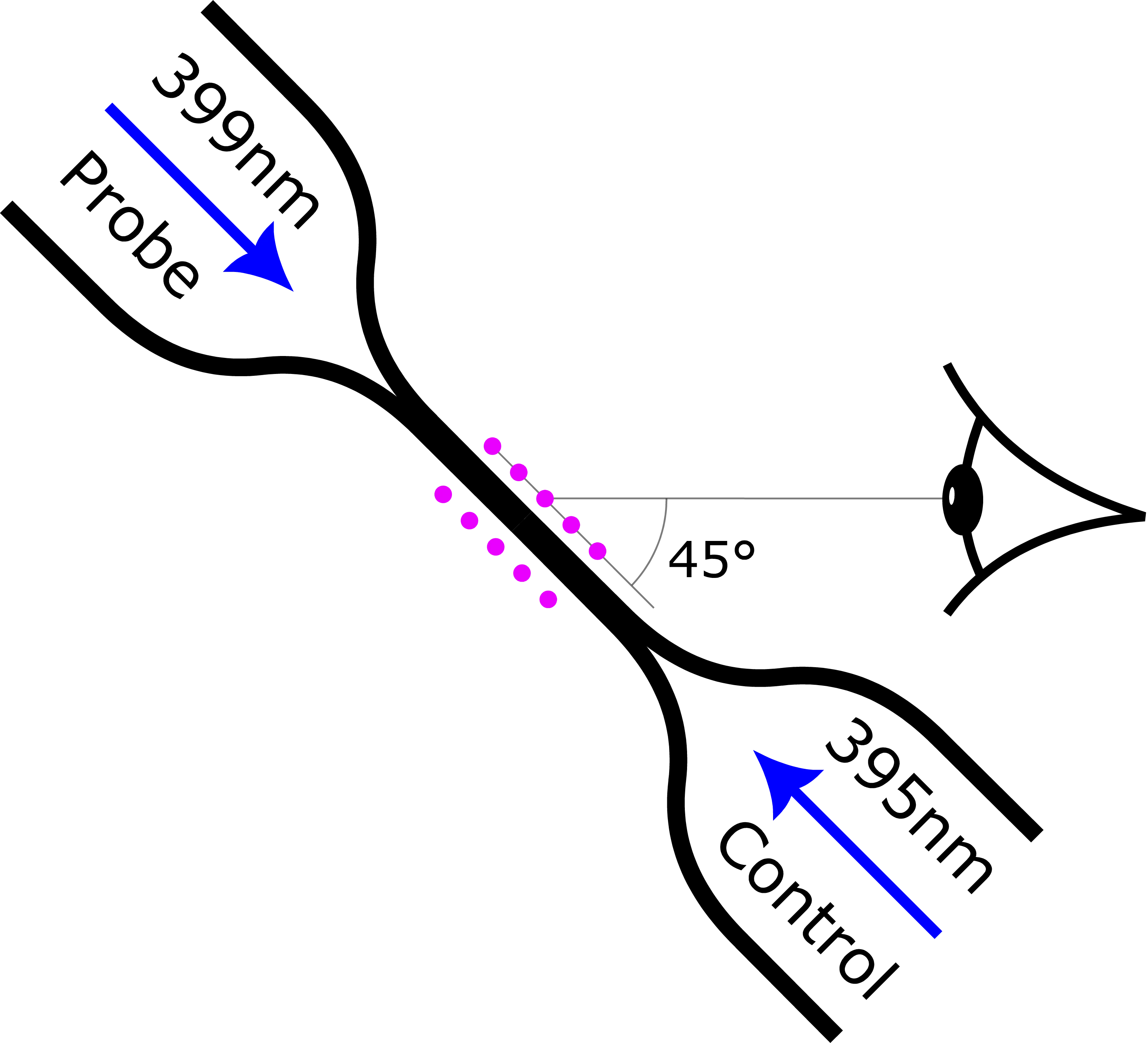 SS2025 - FYQO - Nanofiber_Imaging_under_45_degrees.png