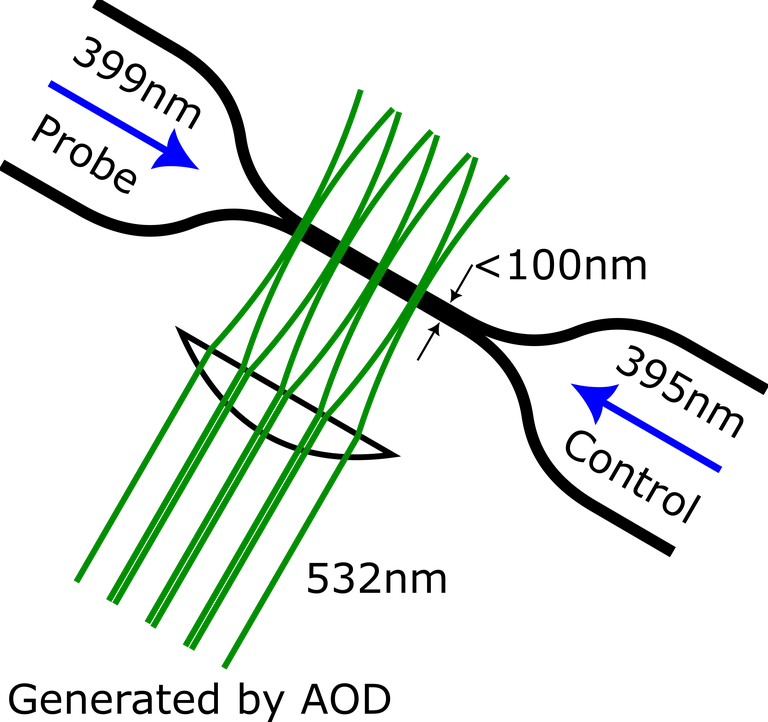 SS2025 - FYQO - Nanofiber_with_optical_tweezers.png