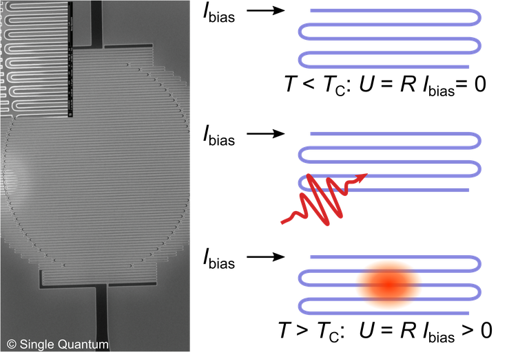 WS2025 - HQO - Nanowire detectors.png