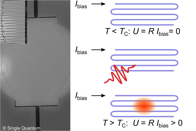 WS2025 - HQO - Nanowire detectors.png