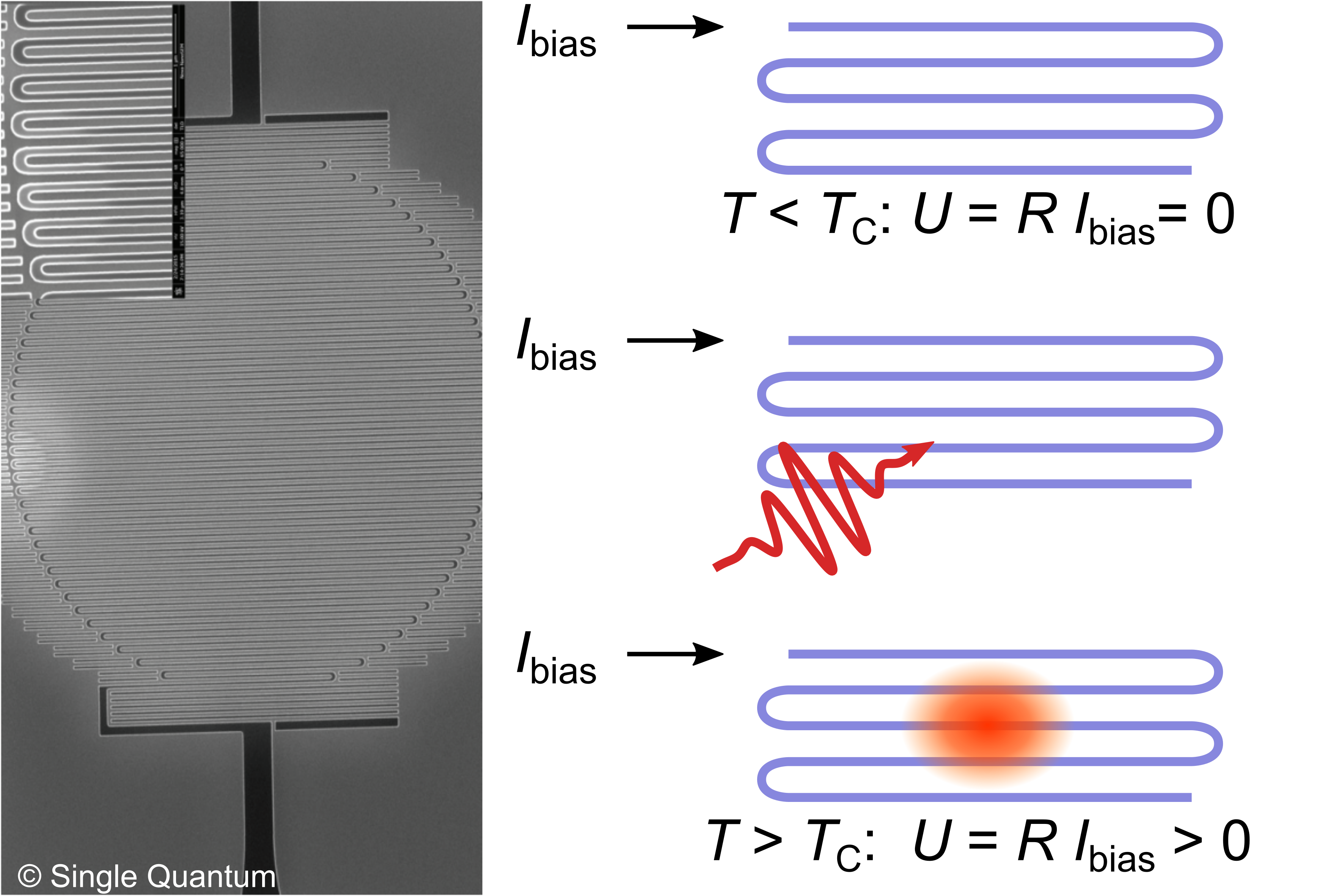 WS2025 - HQO - Nanowire detectors.png