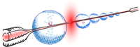 WS2025 - NQO - ultrathin fiber.png