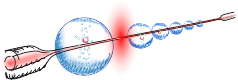 WS2025 - NQO - ultrathin fiber.png