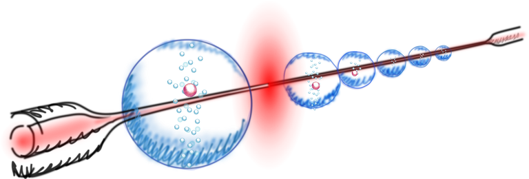 WS2025 - NQO - ultrathin fiber.png