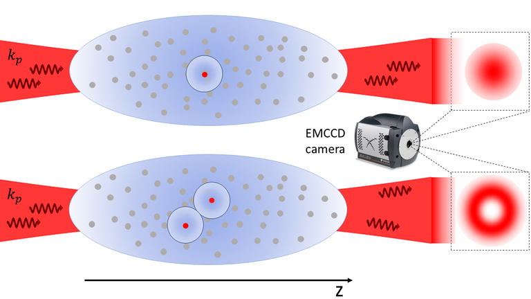 WS2025 - RQO - photon-photon interaction image.png