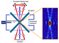 WS2025 - YRQO - crossed dipole trap.png