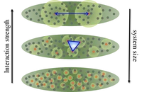 YQO_polariton_system.png