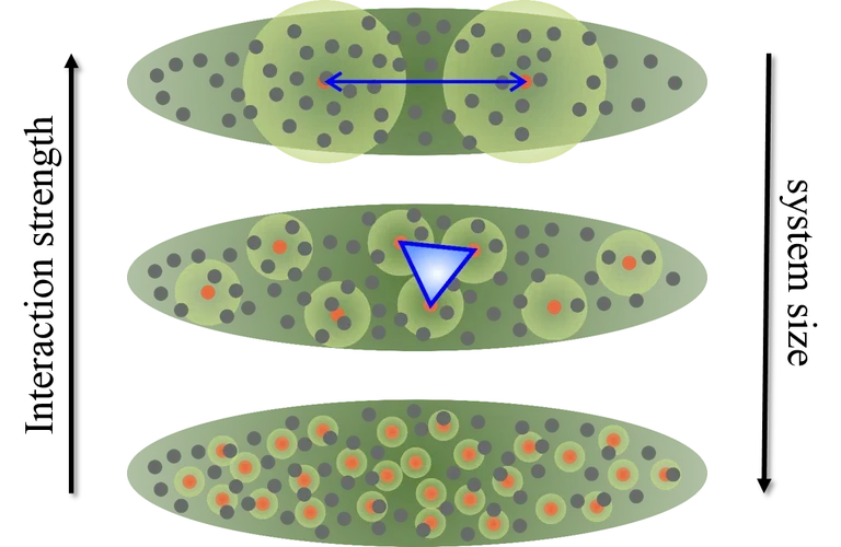 YQO_polariton_system.png