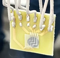 2025_germer_samuel_master_frozen_chip.jpg