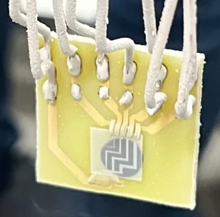 2025_germer_samuel_master_frozen_chip.jpg