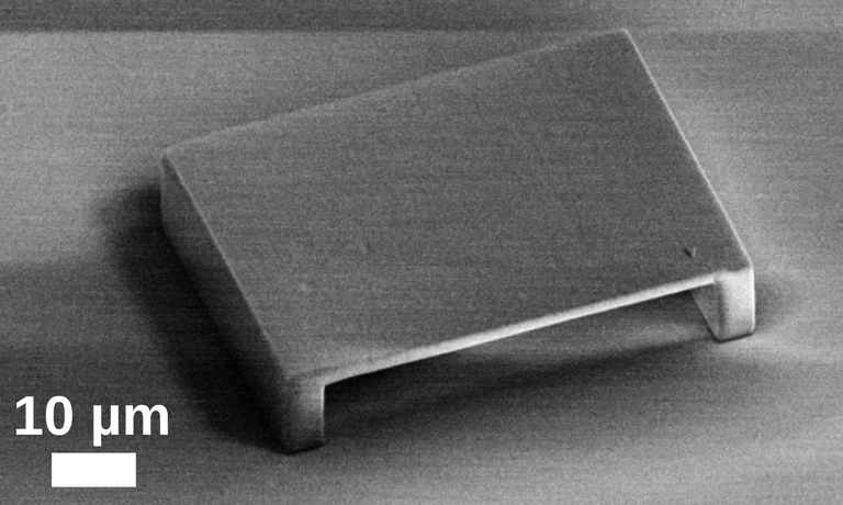 2026_FCO_IMG3_SEM_Single_Membrane.png