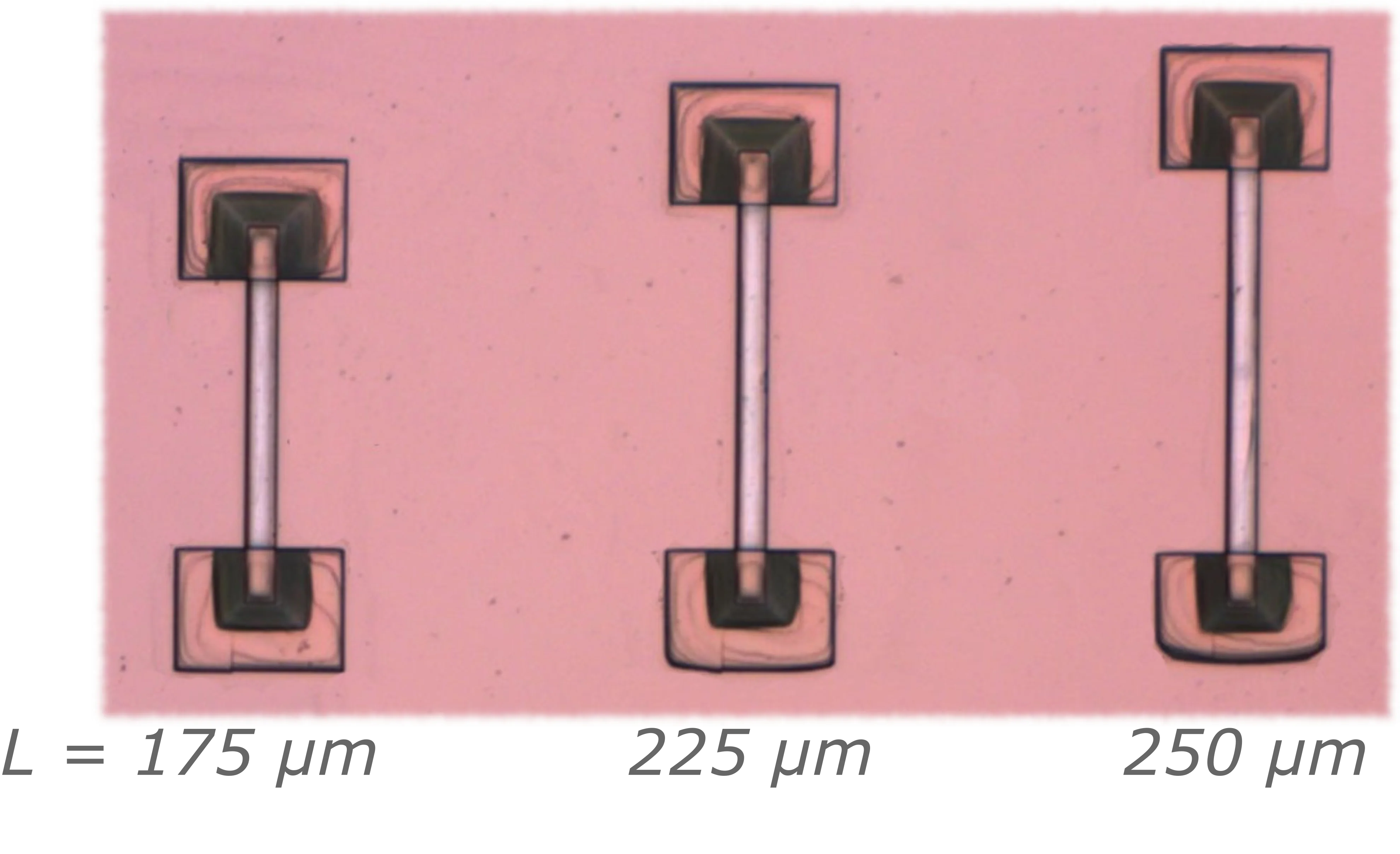 2026_FCO_IMG6_Bridge_Resonators.png