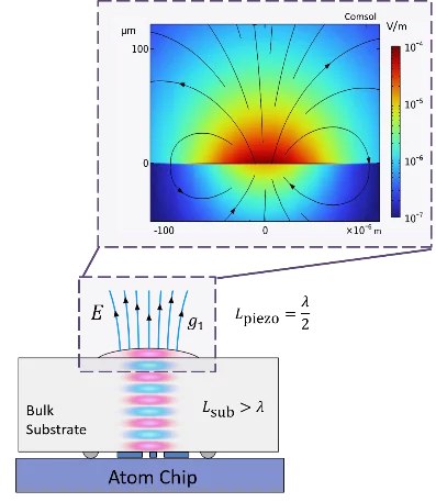 2026 - HQO -comsol simulation.png