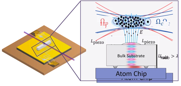 2026 - HQO -comsol simulation2.png