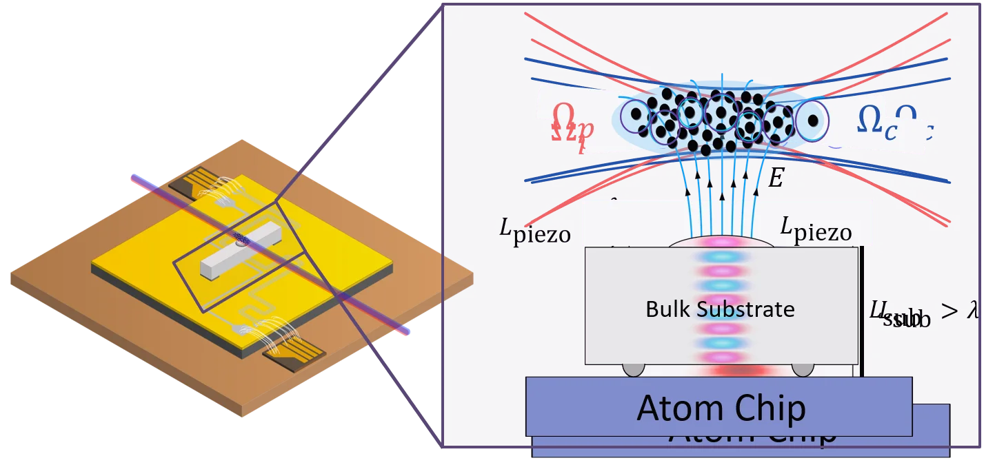 2026 - HQO -comsol simulation2.png