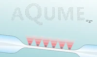 2026-09-02 WQED thumb.png