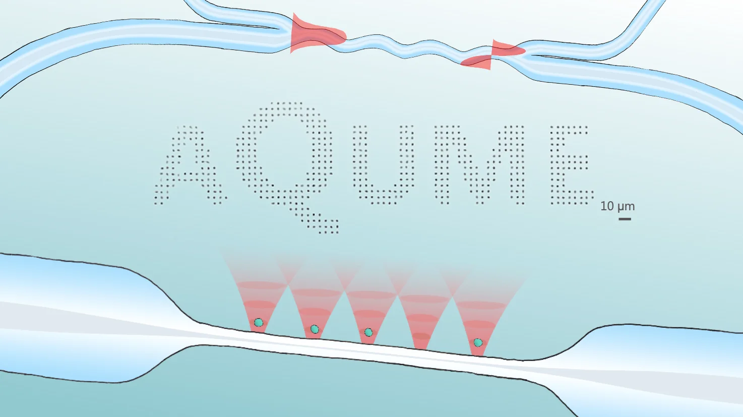 20260902_AQUME_FULL.png