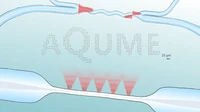 20260902_AQUME_FULL.png