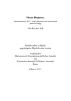 2025 - Elisa Voss - Bachelor.pdf